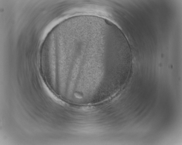 X0000051891523200507081926