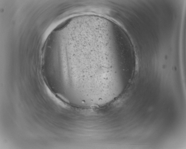 X0000051891524200507081926