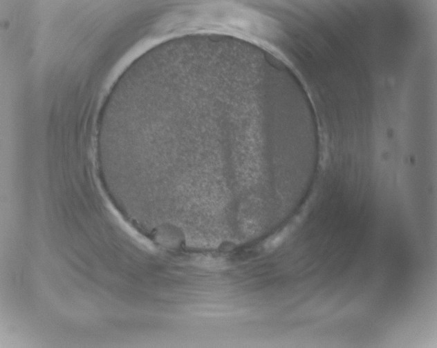 X0000051891525200507081926