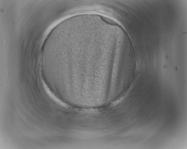 X0000051891526200507081926