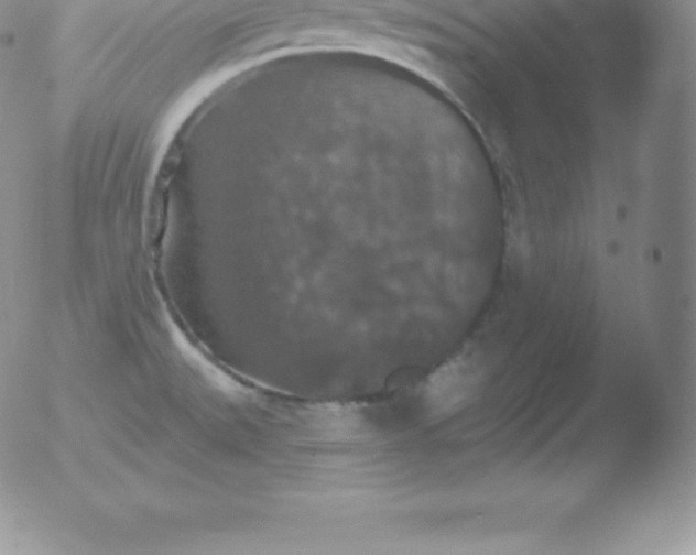 X0000051891527200507081926