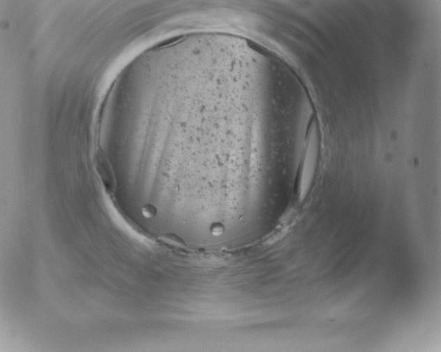 X0000051891528200507081926