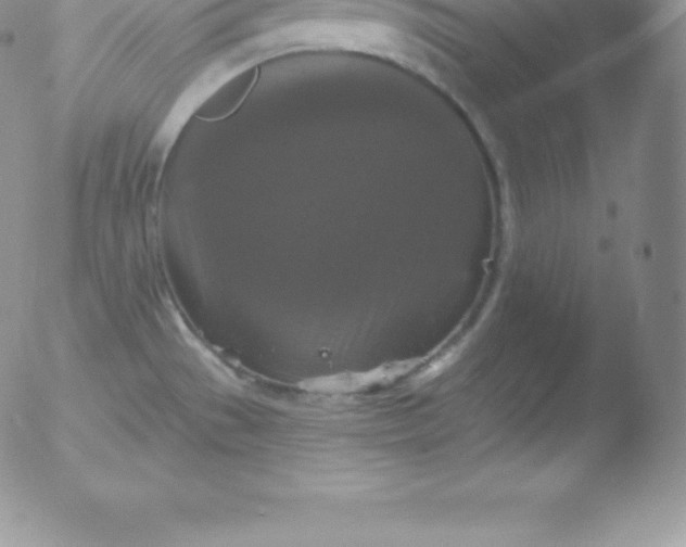 X0000051891529200507081926