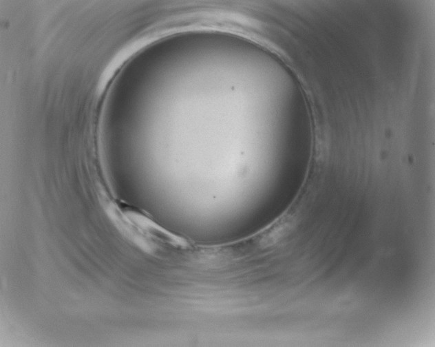 X0000051891530200507081926