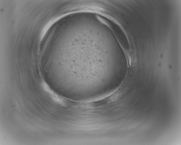 X0000051891532200507081926