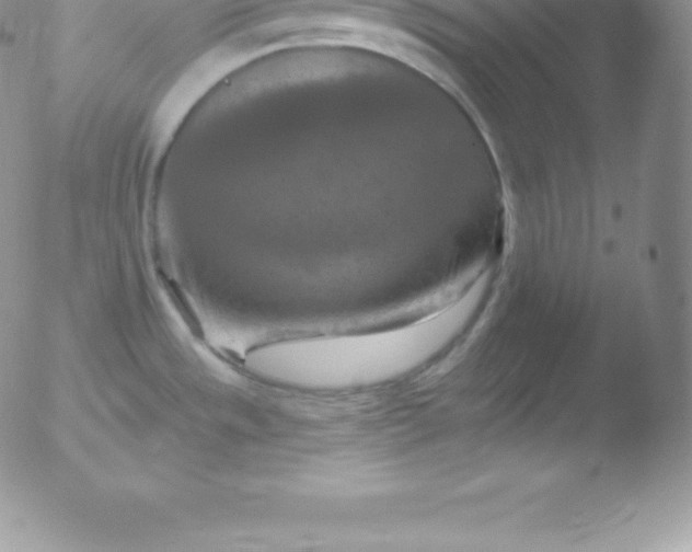 X0000051891533200507081926