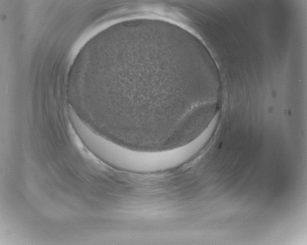 X0000051891534200507081926