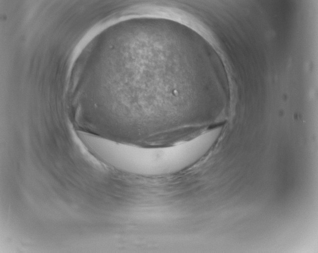 X0000051891536200507081926