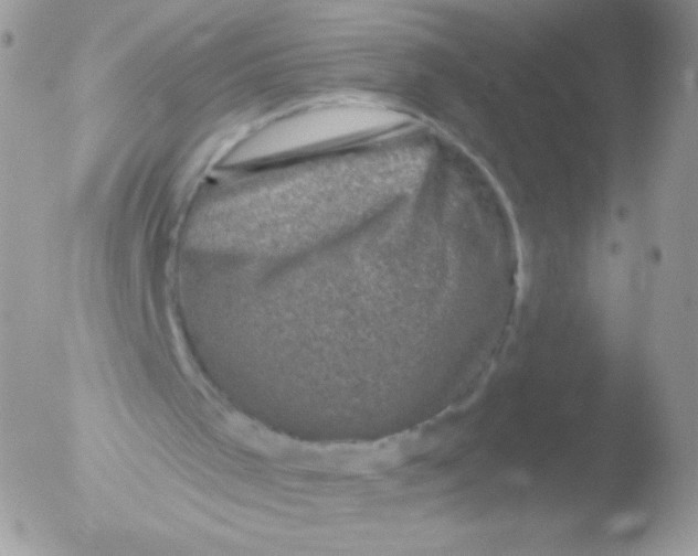 X0000051890001200507151951