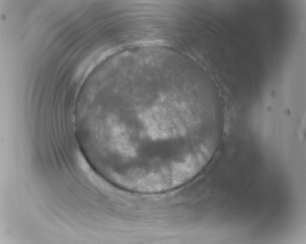 X0000051890002200507151951