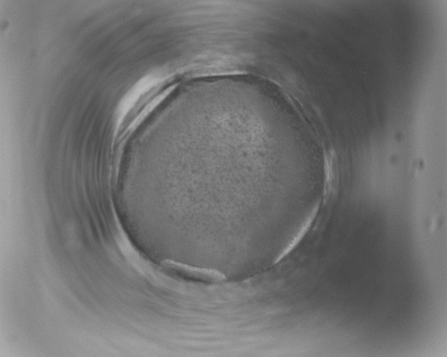 X0000051890003200507151951