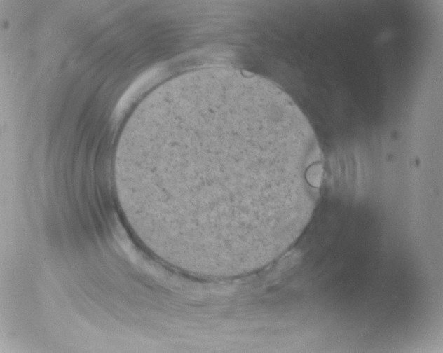 X0000051890004200507151951