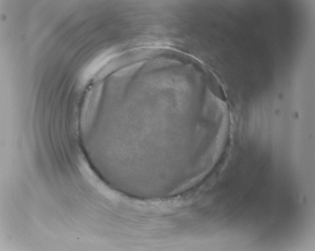 X0000051890005200507151951