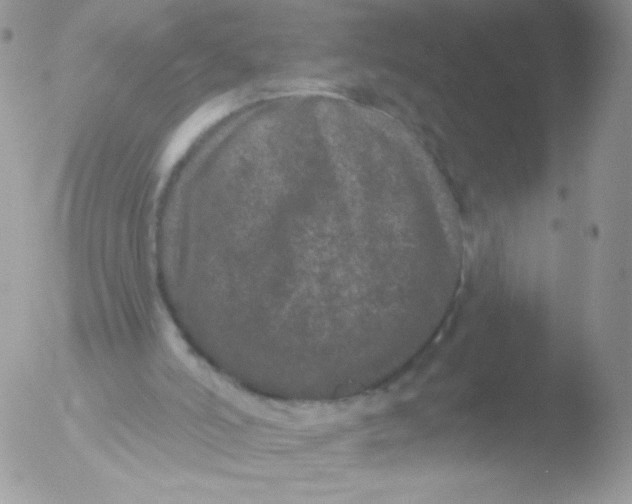 X0000051890006200507151951