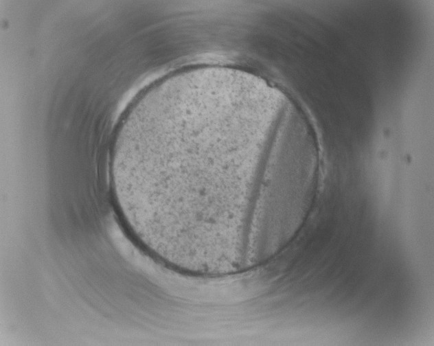 X0000051890011200507151950