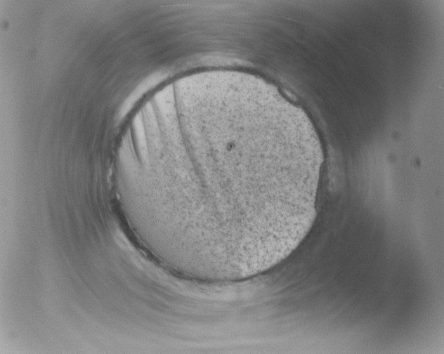 X0000051890015200507151950