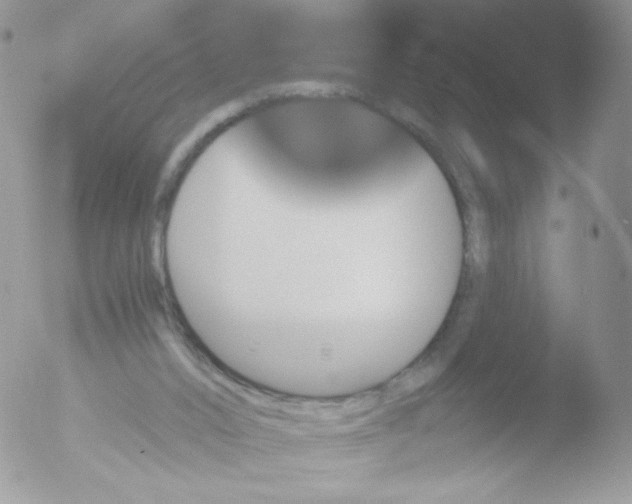 X0000051890016200507151950