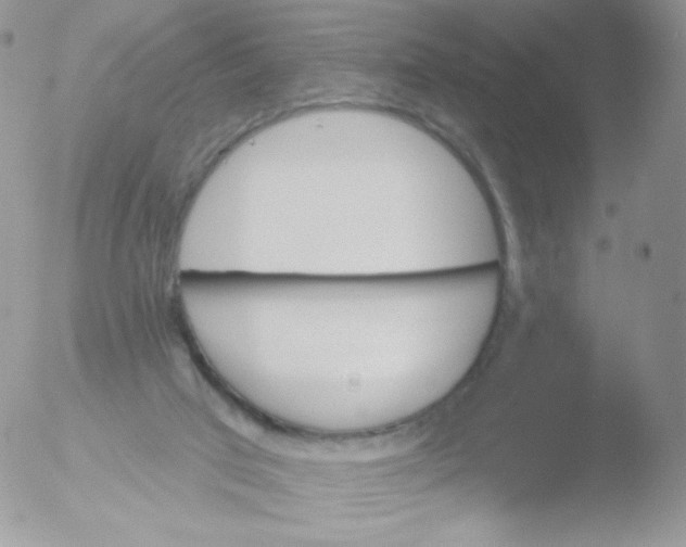 X0000051890017200507151950