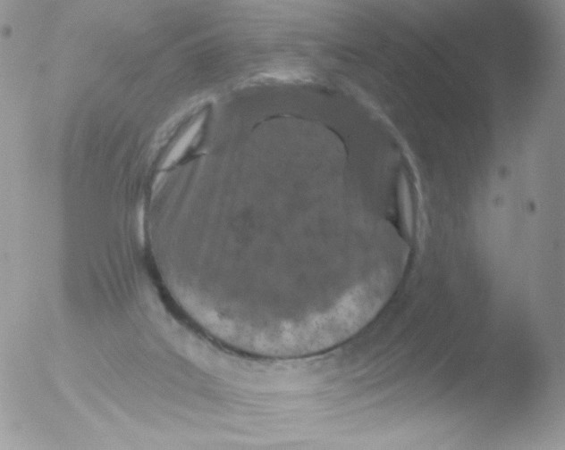 X0000051890019200507151950