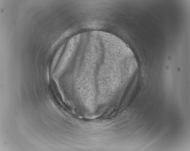 X0000051890020200507151950