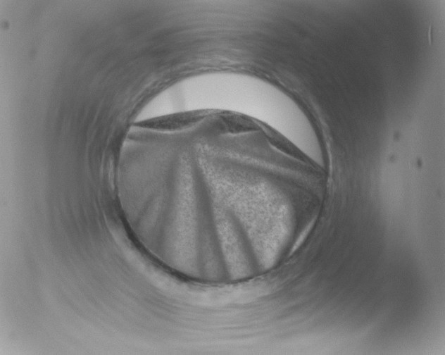 X0000051890021200507151950