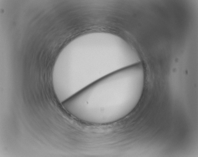 X0000051890025200507151950