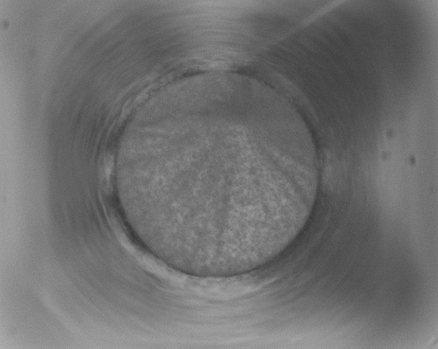 X0000051890026200507151950