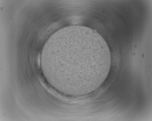 X0000051890028200507151950