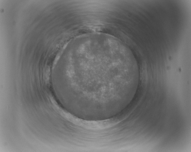 X0000051890030200507151950