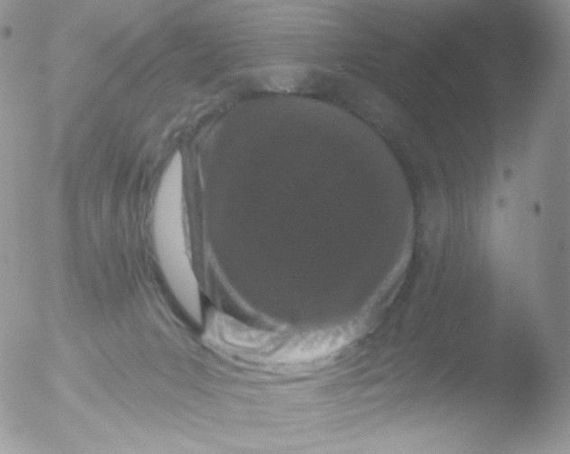 X0000051890031200507151950