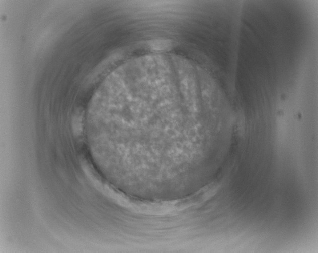 X0000051890032200507151950