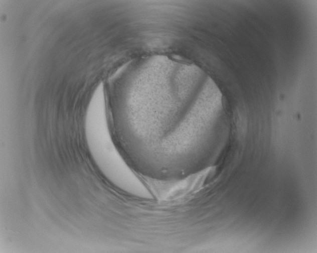 X0000051890033200507151950