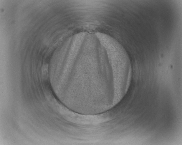 X0000051890034200507151950