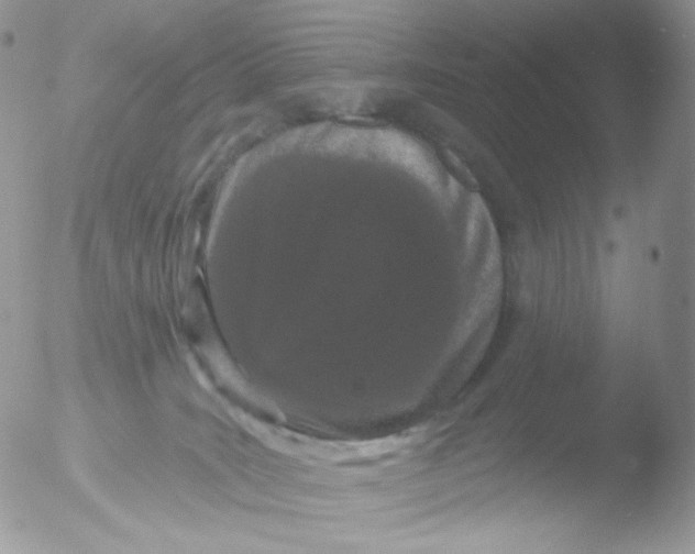 X0000051890035200507151950