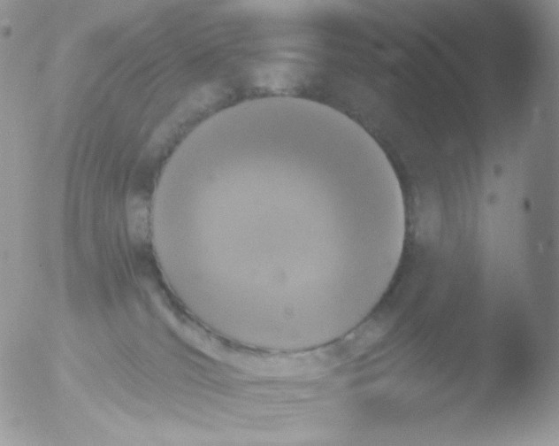 X0000051890036200507151950