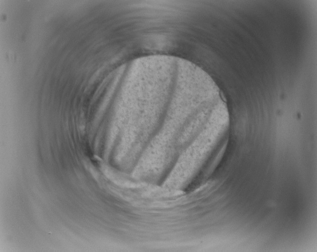 X0000051890040200507151950