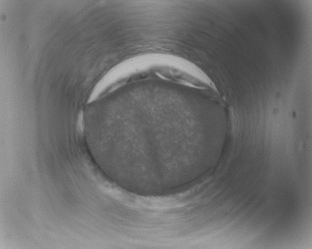 X0000051890041200507151950