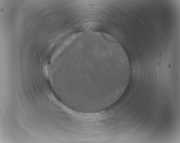 X0000051890042200507151950