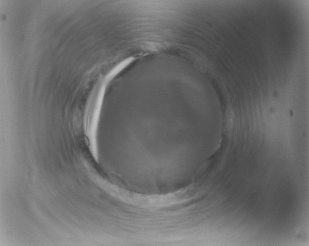 X0000051890043200507151950