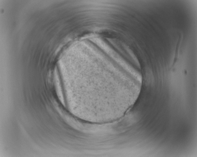 X0000051890044200507151950