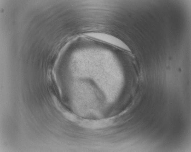 X0000051890045200507151950