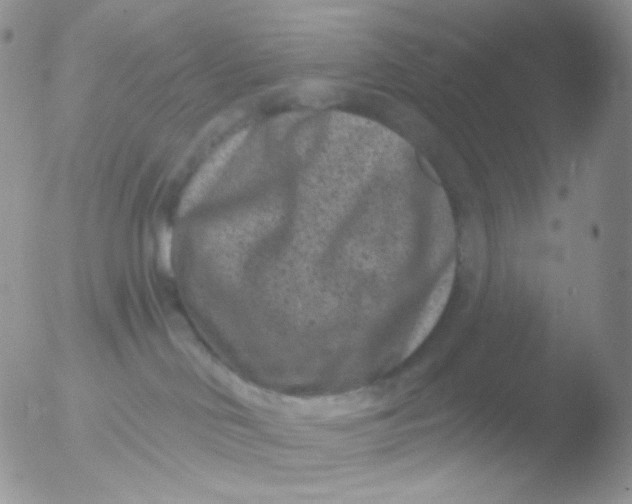 X0000051890046200507151950