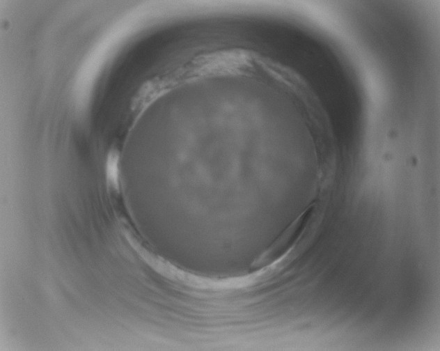 X0000051890047200507151950