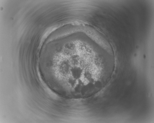 X0000051890049200507151949