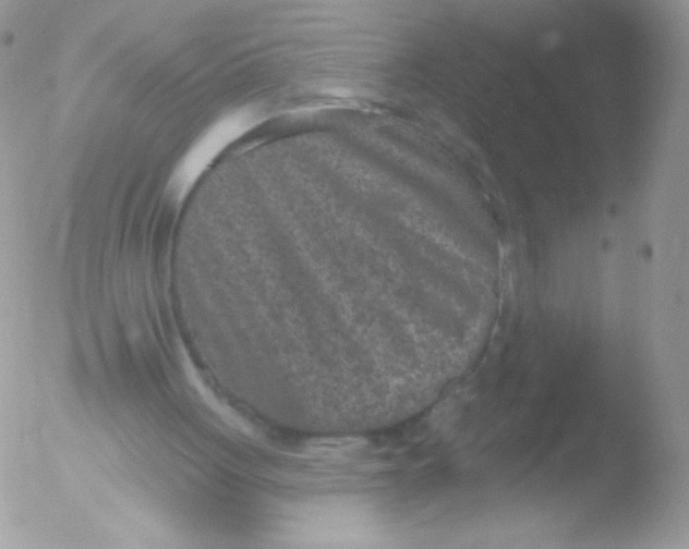 X0000051890051200507151949