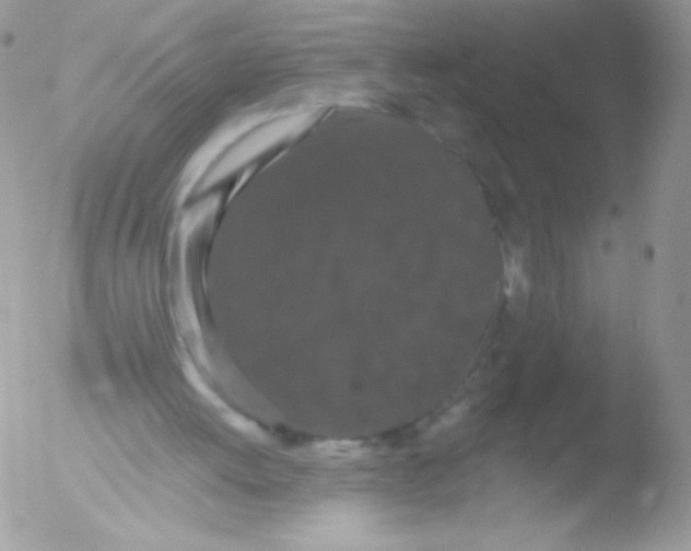 X0000051890052200507151949