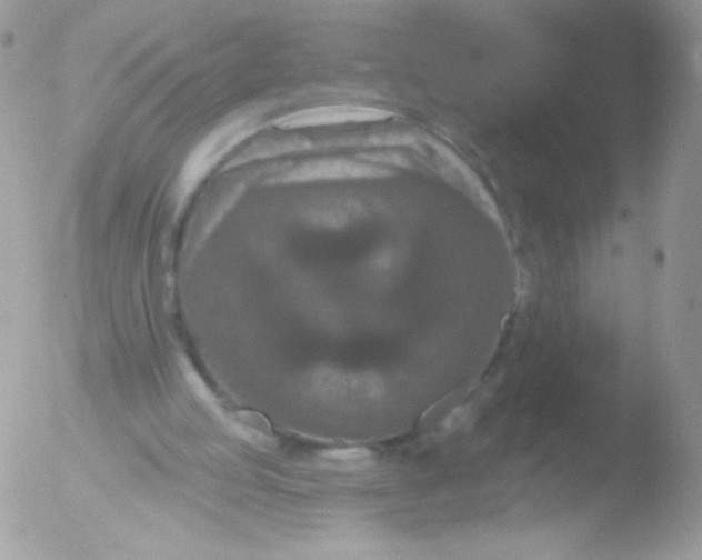 X0000051890053200507151949