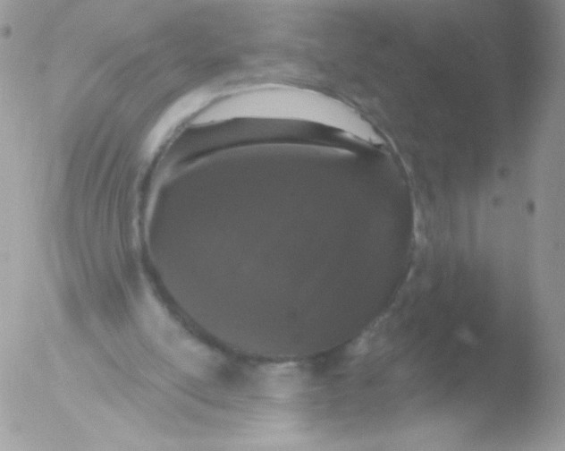 X0000051890054200507151949