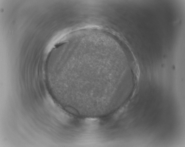 X0000051890055200507151949