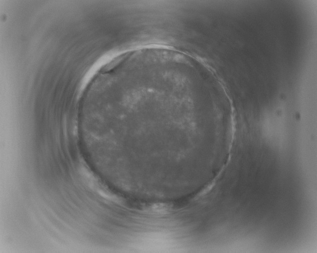 X0000051890056200507151949